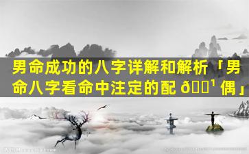 男命成功的八字详解和解析「男命八字看命中注定的配 🌹 偶」